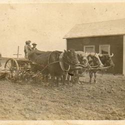 Postcard cows pulling machine and family
