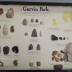 Garvin Park Indigenous Tools