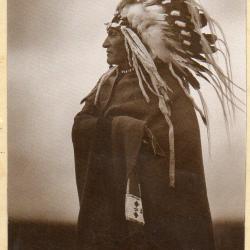 Photograph Native American in full headdress