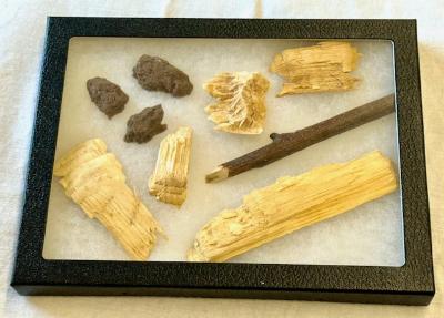 Beaver Chew and Scat Signatures