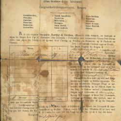 Ship passage document for Peter Larson Bungum