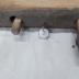 Wood oxen yoke