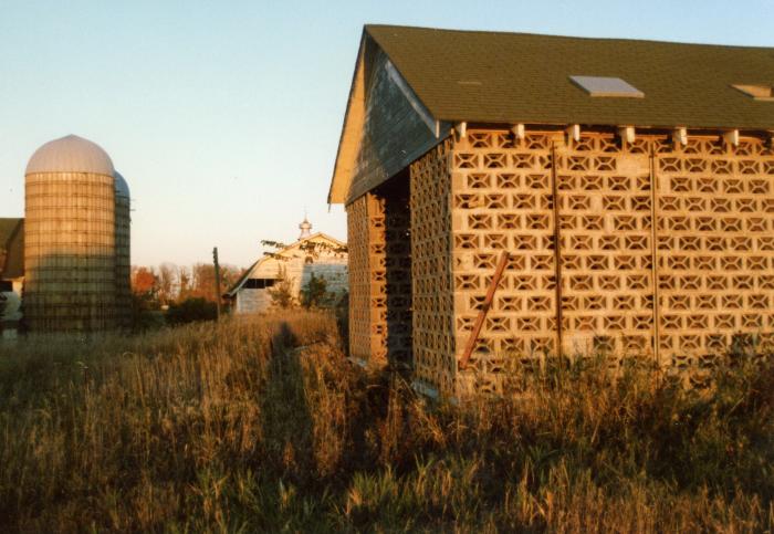Photograph, Color