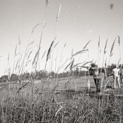 Photo Negative: July 14, 1982, issue of Maplewood Review