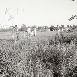 Photo Negative: July 14, 1982, issue of Maplewood Review