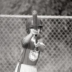 Photo Negative: July 14, 1982, issue of Maplewood Review
