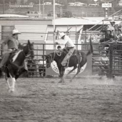 Photo Negative: July 14, 1982, issue of Maplewood Review
