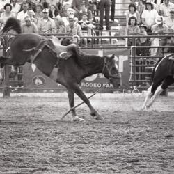 Photo Negative: July 14, 1982, issue of Maplewood Review