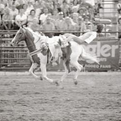 Photo Negative: July 14, 1982, issue of Maplewood Review