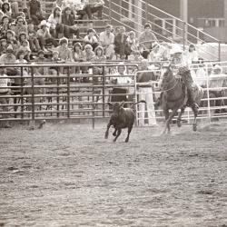 Photo Negative: July 14, 1982, issue of Maplewood Review