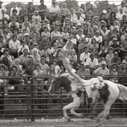 Photo Negative: July 14, 1982, issue of Maplewood Review