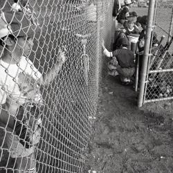 Photo Negative: July 14, 1982, issue of Maplewood Review