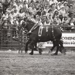 Photo Negative: July 14, 1982, issue of Maplewood Review