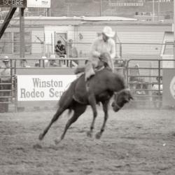 Photo Negative: July 14, 1982, issue of Maplewood Review
