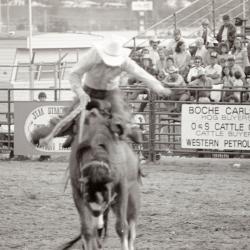 Photo Negative: July 14, 1982, issue of Maplewood Review