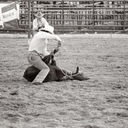 Photo Negative: July 14, 1982, issue of Maplewood Review