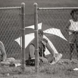 Photo Negative: July 14, 1982, issue of Maplewood Review