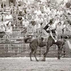 Photo Negative: July 14, 1982, issue of Maplewood Review