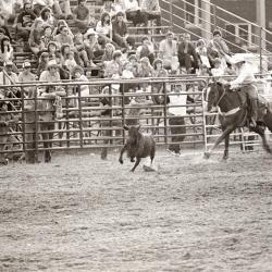 Photo Negative: July 14, 1982, issue of Maplewood Review