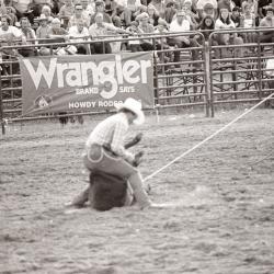 Photo Negative: July 14, 1982, issue of Maplewood Review