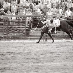 Photo Negative: July 14, 1982, issue of Maplewood Review