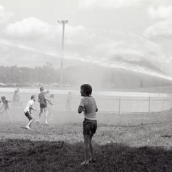Photo Negative: July 14, 1982, issue of Maplewood Review