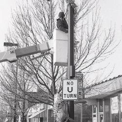 Photo Negative: December 3, 1980, issue of Maplewood Review