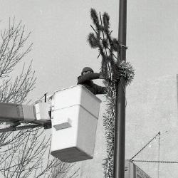 Photo Negative: December 3, 1980, issue of Maplewood Review