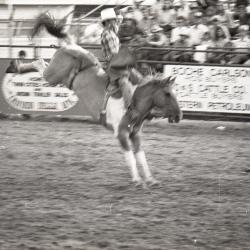 Photo Negative: July 14, 1982, issue of Maplewood Review