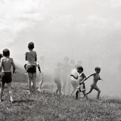 Photo Negative: July 14, 1982, issue of Maplewood Review