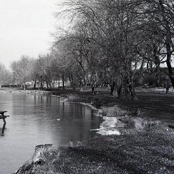 Photo Negative: December 3, 1980, issue of Maplewood Review