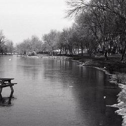 Photo Negative: December 3, 1980, issue of Maplewood Review