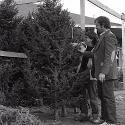 Photo Negative: December 3, 1980, issue of Maplewood Review