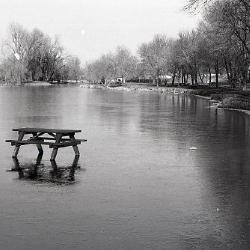 Photo Negative: December 3, 1980, issue of Maplewood Review