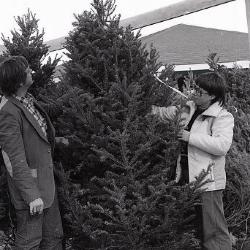 Photo Negative: December 3, 1980, issue of Maplewood Review