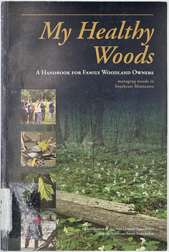 My Healthy Woods: Book