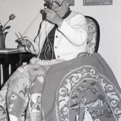Photo Negative, November 19, 1980, issue of Maplewood Review