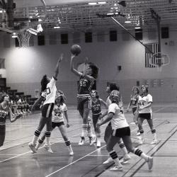 Photo Negative: November 26, 1980, issue of Maplewood Review