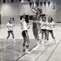 Photo Negative: November 26, 1980, issue of Maplewood Review