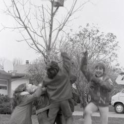Photo Negative, November 19, 1980, issue of Maplewood Review