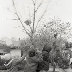 Photo Negative, November 19, 1980, issue of Maplewood Review