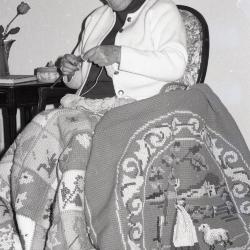 Photo Negative, November 19, 1980, issue of Maplewood Review