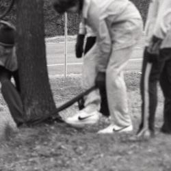 Photo Negative: November 26, 1980, issue of Maplewood Review
