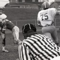 Photo Negative, October 22, 1980, issue of The Maplewood Review