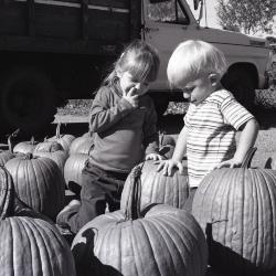 Photo Negative, October 15, 1980 issue of The Maplewood Review