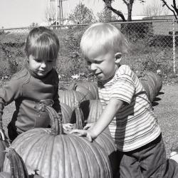 Photo Negative, October 15, 1980 issue of The Maplewood Review