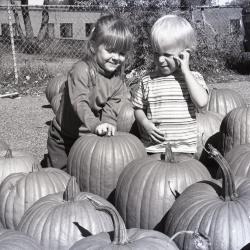 Photo Negative, October 15, 1980 issue of The Maplewood Review