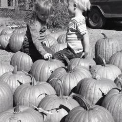 Photo Negative, October 15, 1980 issue of The Maplewood Review
