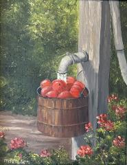 Washing Apples in Barrel