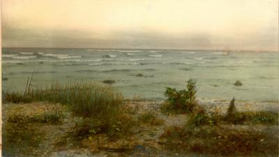 Photograph, Color